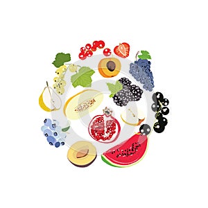 Big fruit set doodle illustration isolated on white background. Vector food icons for design