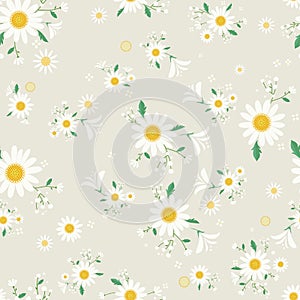 Seamless daisy floral pattern,Beautiful daisy floral, bloomy plant grass decor, illustration - Vector photo