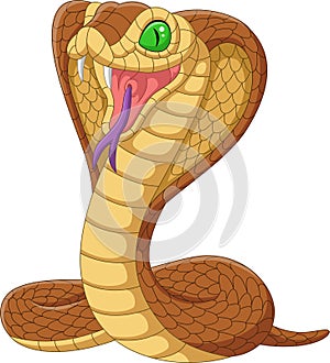 Cartoon king cobra snake on white background