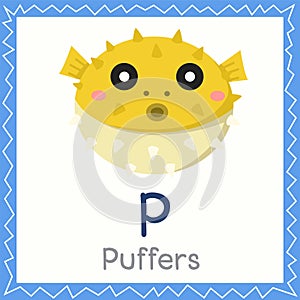 Illustrator of P for Puffers animal