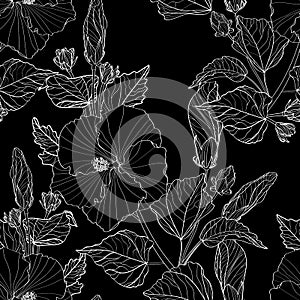 Seamless pattern white line hibiscus flowers and leaves on black background.