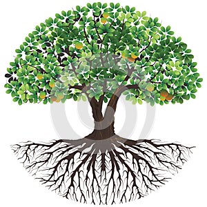 Ancient  tree of life logo