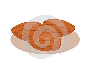 Almond nuts isolated on white background.