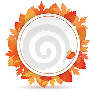 Autumn background in seasonal frame on orange maple leaves and empty space for your text