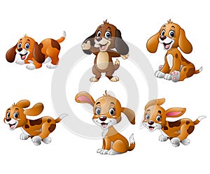 Cartoon playful puppy collections set