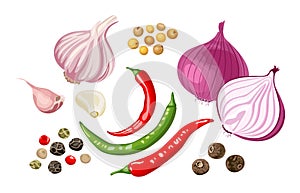 Set of spicy spices and vegetables.