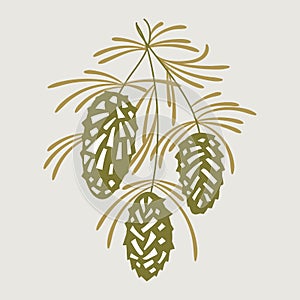 Set pine cones on pine branch