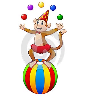 Circus monkey while juggling balls