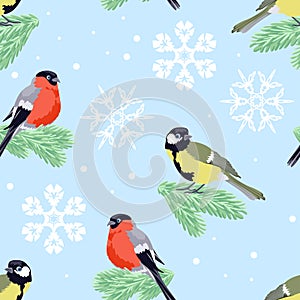 Bullfinches and tits sitting on spruce branches on blue background. Winter seamless pattern with birds