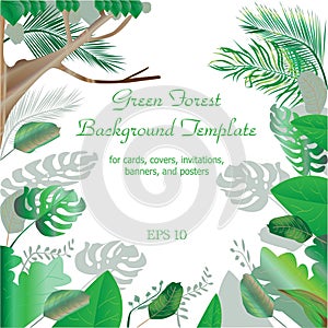 Green Forest Frame and Border Background Template