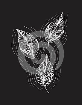 Vector illustration leaves and in doodle style. Floral, ornate, decorative, tribal vector design elements