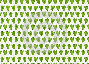 Mustard greens wallpaper art design vector illustration vegetables seamless, cabagge mustard greens vector illustration photo