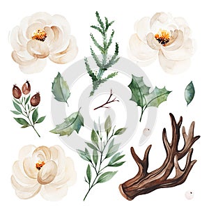 Botanical set with leaves,branches,horn,berries,conifer,white roses. photo