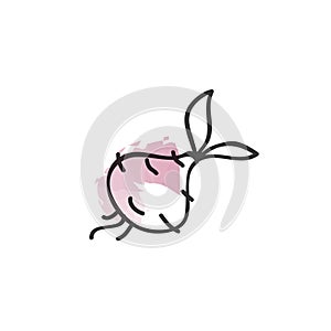 Turnip vector icon. Turnip illustration. Vector