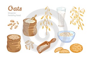 Oats set. Bag of oat flour, grains, scoop with cereals, ears of corn, oat milk and cookies, flakes, bowl with oatmeal photo