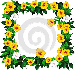 Beautiful Yellow White Flower Frame Cartoon