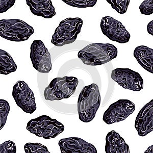 Prunes seamless pattern. Vector dried plums isolated on white background. Illustration of dried fruits