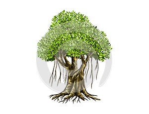 Banyan tree vector illustration with roots photo