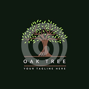 Tree logo design vector template.tree with root icon