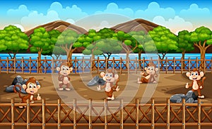 Scene with group of monkey at the zoo