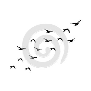 Flock of Birds silhouette isolated on white background