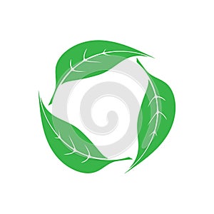 Green circle with leaves - Eco, Bio, Vegan, Natural, Organic, Fresh concept vector design for label, logo, icon, badge, sticker