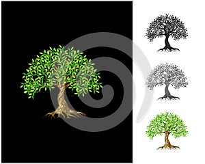 Charming decorative tree, Luxury elegant tree logo, exotics logo designs on black background. photo