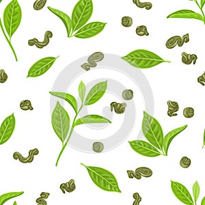 Fresh and dried green tea leaf isolated on white background. Seamless pattern with leaves of tea plant.