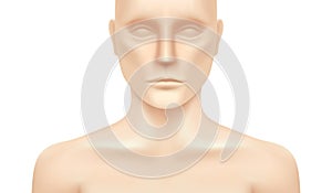 Vector human model isolated on a white background.