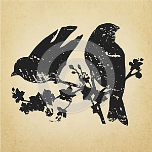 Two birds on a cherry tree branch grunge silhouette