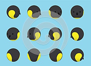 Animal Head Emperor Penguin Animate Spinning Vector Illustration-01 photo