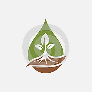 Water Drop and Leaves Tree Logo Design Vector Graphic.