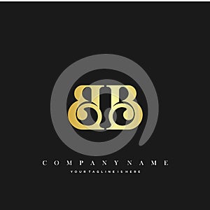 Initial Letter BB Logo Template Design photo