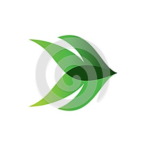 Leaf Arrow Nature Logo Design Graphic Vector.