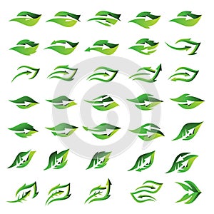 Set Leaf Nature Arrow Logo Design Vector