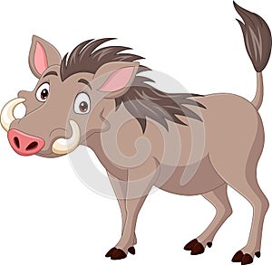 Cartoon warthog isolated on white background photo