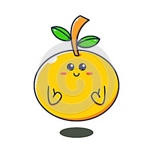 Illustration vector graphic of cute orange fruit