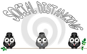 Comical bird social distancing