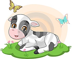 Cute little cow sitting in the grass