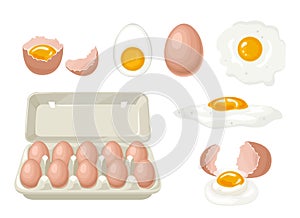 Set of chicken eggs. Whole eggs  in carton box, broken egg, yolk, boiled, fried egg and cracked shell.