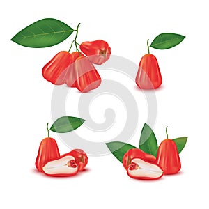Fresh red Rose apple fruit isolated on white background