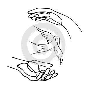 Print Swallow bird, fly, vector illustration