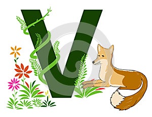 Letter V with green grass vines and Vixen photo