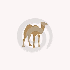 Desert Animal Camel Logo Template