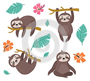 Cute Sloths. Vector illustration 4 characters photo