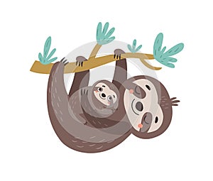 Cute Sloths. Vector illustration photo