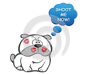 Comical indignant looking dog