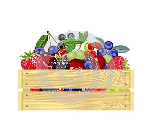 Different berry fruits in wooden box isolated on white background. Fresh products. Vector illustration