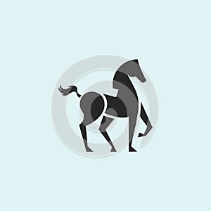 Horse logo vector design template