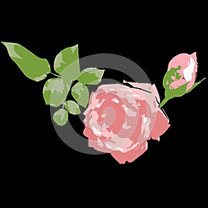 Rose artistic abstract handdraw vector design photo